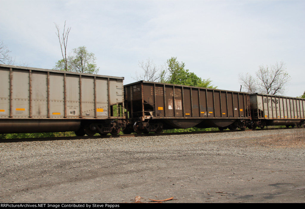 NS 10176